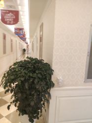 -昆明梦想医疗美容医院