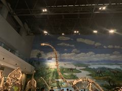 -自贡恐龙博物馆