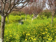 -古柏渡飞黄旅游区