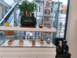 -欧扬医疗美容