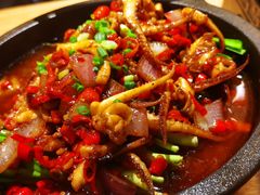-聚鑫朋酸菜肥肠(文艺路口店)