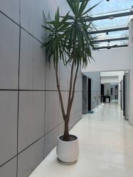 -无界瑜伽普拉提