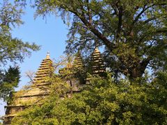 -北京石刻艺术博物馆(五塔寺)