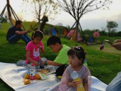 -武汉紫薇都市田园