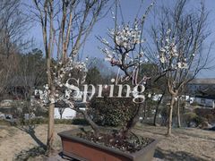 -杭州植物园
