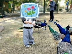 -苏州太湖西山岛开心农场