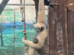 -昆明动物园