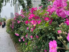 -南京国际青年文化中心