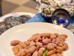 鲜鸡子-千岛蚝高压锅生蚝·人参火锅(白云万达店)