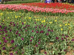 -石家庄市植物园