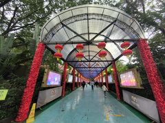 -广州长隆国际大马戏