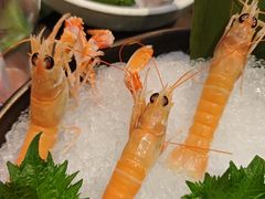 -極上萬膳·日料放题(海岸城店)