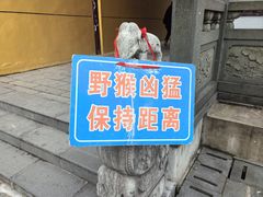 -东庐山观音寺