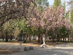 -东华门大街小区