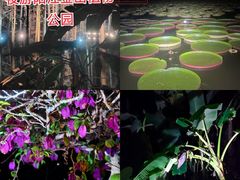 -金山植物公园