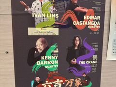 -浣熊唱片店(上海影城店)
