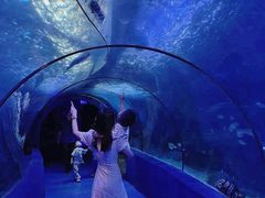 -左海海底世界