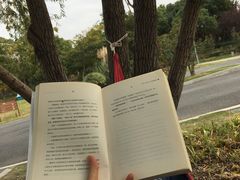 -九里河湿地公园