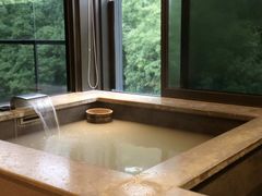 -台北北投丽禧温泉酒店