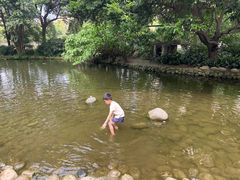 -成都市活水公园