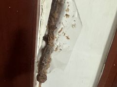 -王中王刨冰