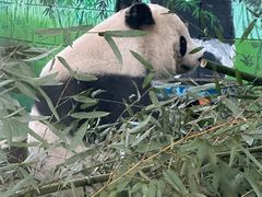 -天津市动物园