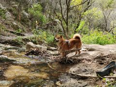 -终南山南五台景区