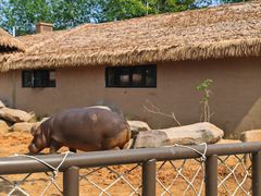 -大连森林动物园