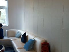 -深圳东部华侨城瀑布酒店