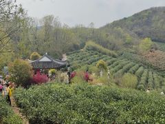 -南北湖风景区