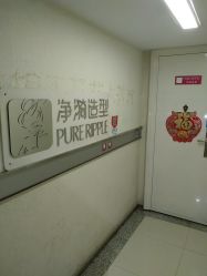 -净漪造型 PURE RIPPLE