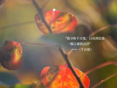 -厦门悦华酒店