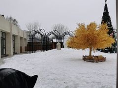 -静之湖湖畔餐厅