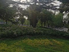 -丰台花园