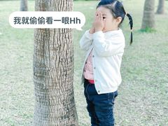 -东风公园