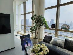 -JNK皮肤管理中心