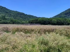-八卦田遗址公园