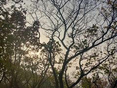 -香山公园