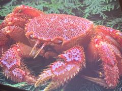 -董大蒸货(方塔园店)