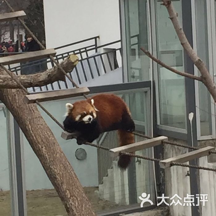 徐州動物園