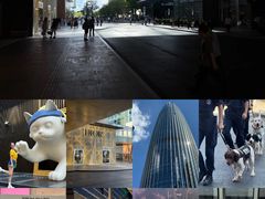 -深圳湾万象城(南山店)