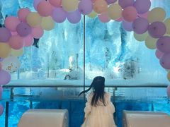 -帝企鹅自助餐厅•儿童岛•真企鹅(长隆企鹅酒店)