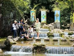 -广州市流溪河国家森林公园