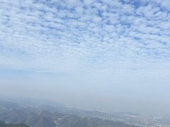 -午潮山国家森林公园