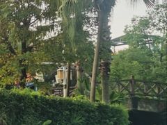 -重庆海昌加勒比海水世界