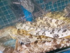 -77号渔船·蒸海鲜青岛菜(积米崖店)