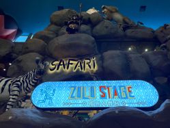 -卡通尼·Safari非洲探索乐园·生日会(金桥国际商业广场店)