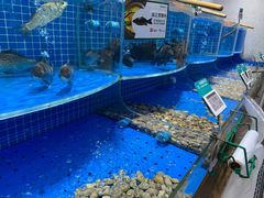 水产区-七鲜超市(通州ONE店)