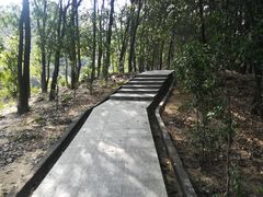 -火炉山森林公园
