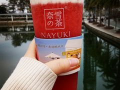 -奈雪的茶(大梅沙8号仓店)